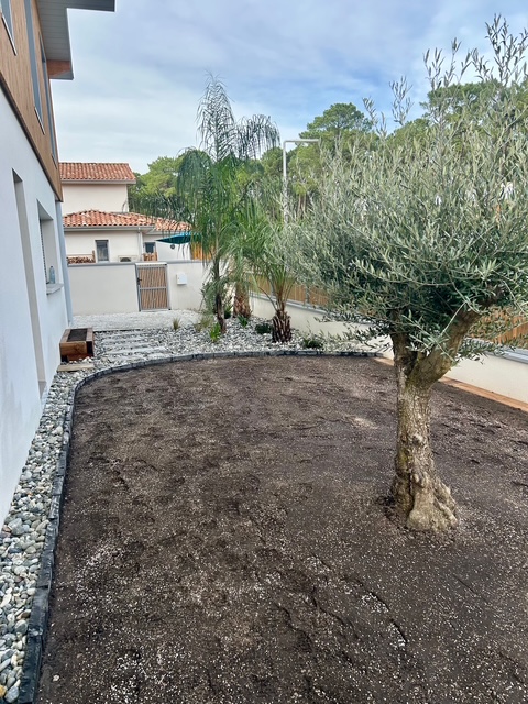 Vue latérale d’un terrain nu prêt à être engazonné, bordé par des massifs en galets blancs et des plantations