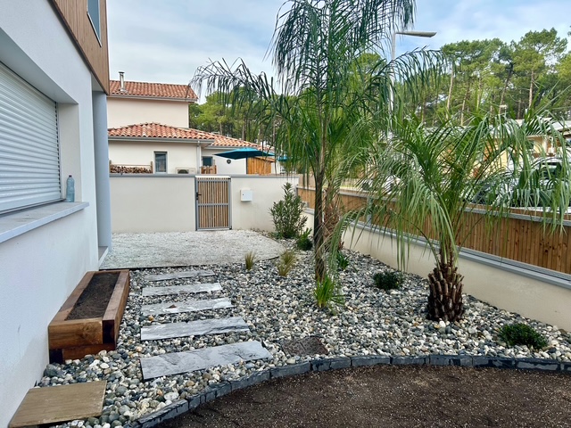 Aménagement paysager avec palmiers, galets décoratifs et chemin de dalles dans une cour résidentielle à l’entrée de la maison