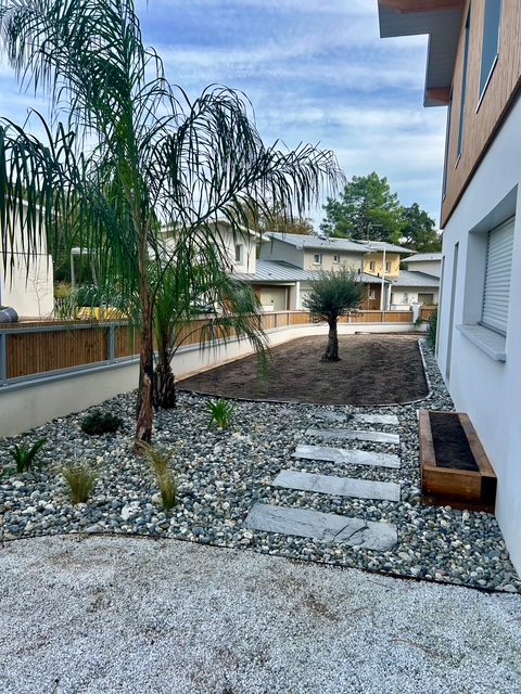 Jardin moderne avec olivier centenaire et bordure en galets décoratifs autour d’une maison contemporaine