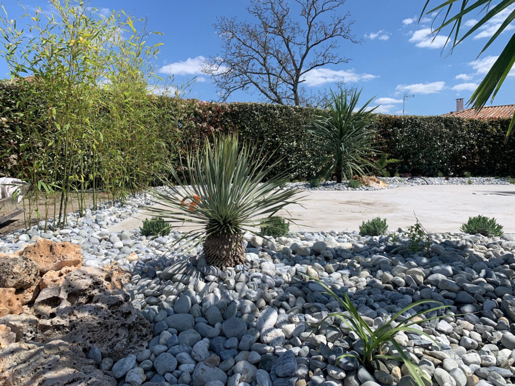 Création de massif de style méditerranéen