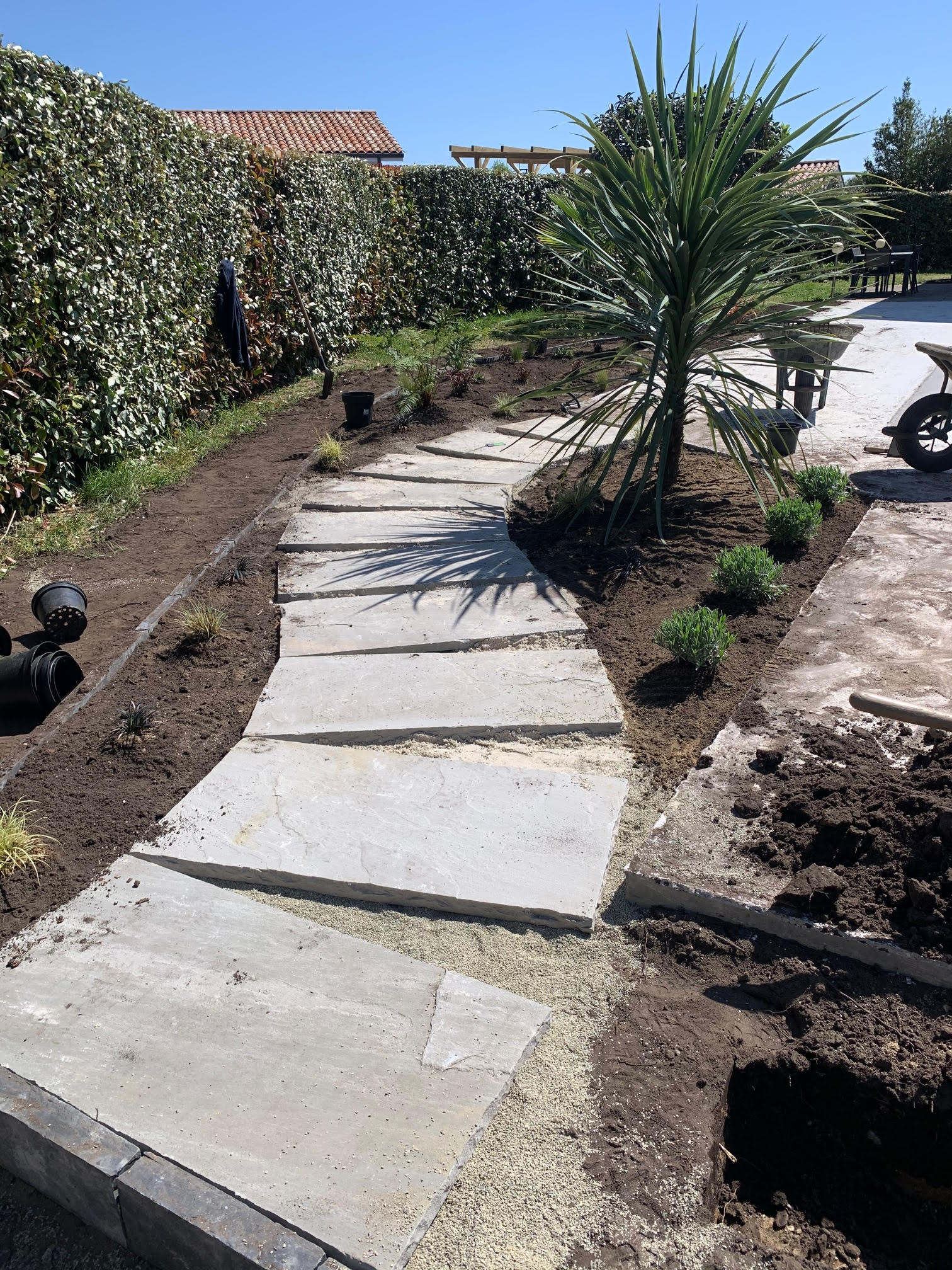 Création de massif de style méditerranéen