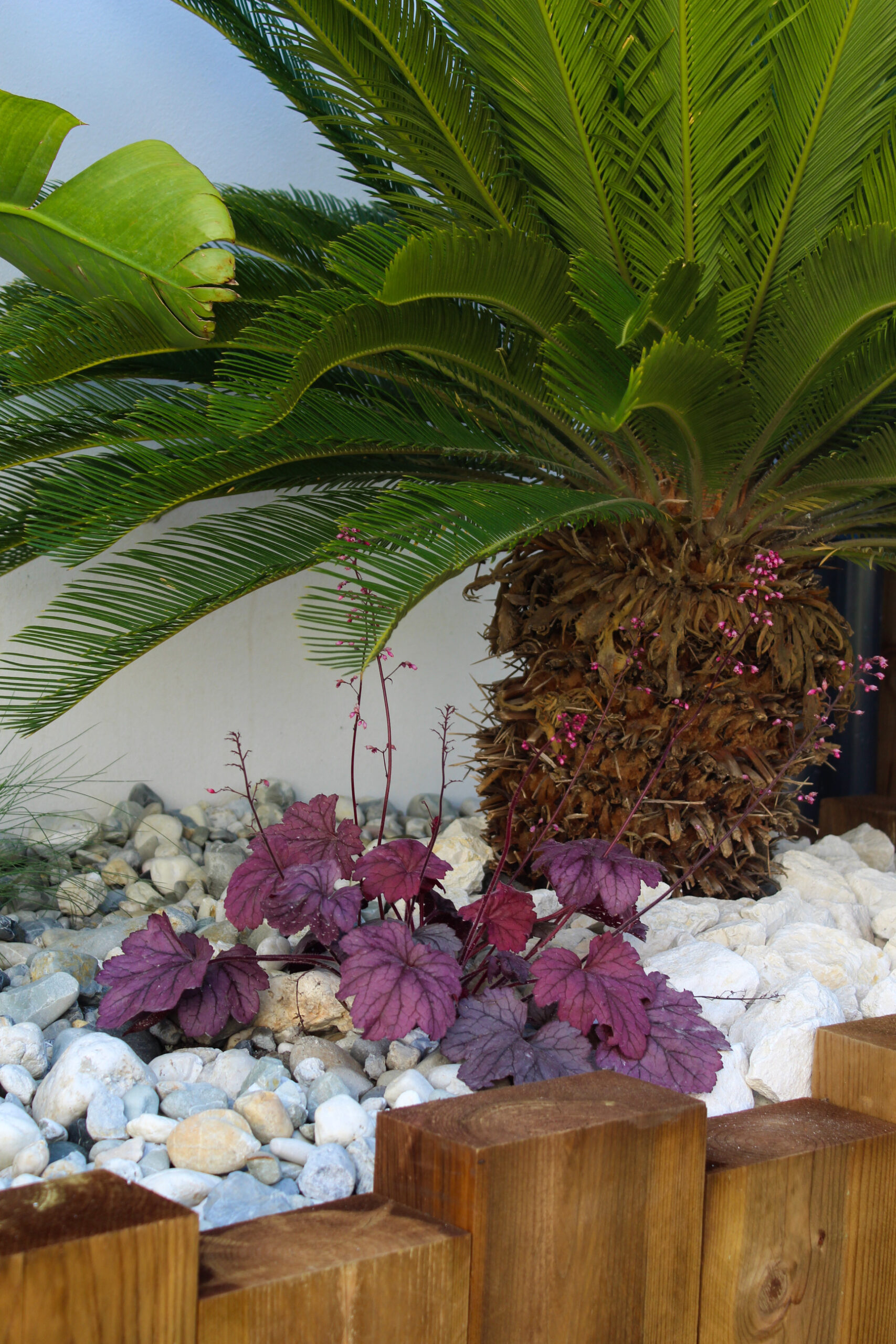 Aménagement complet de jardin à Tarnos