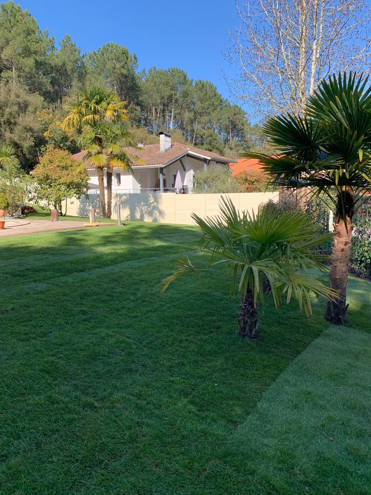 Création et aménagement d&rsquo;une berlinoise et d&rsquo;un massif à Seignosse près de Hossegor