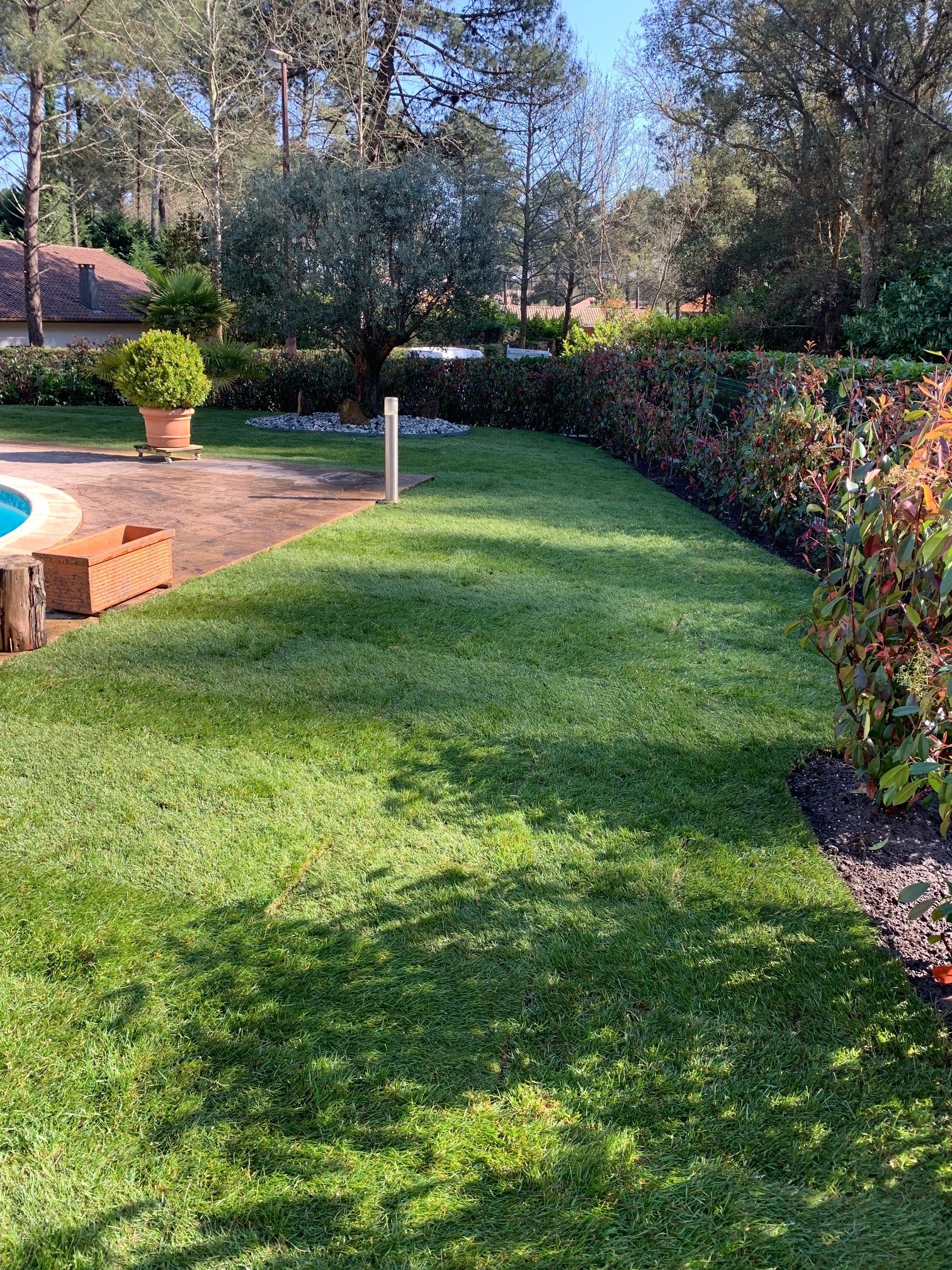 Création et aménagement d&rsquo;une berlinoise et d&rsquo;un massif à Seignosse près de Hossegor