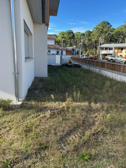 Terrain en friche avant aménagement paysager